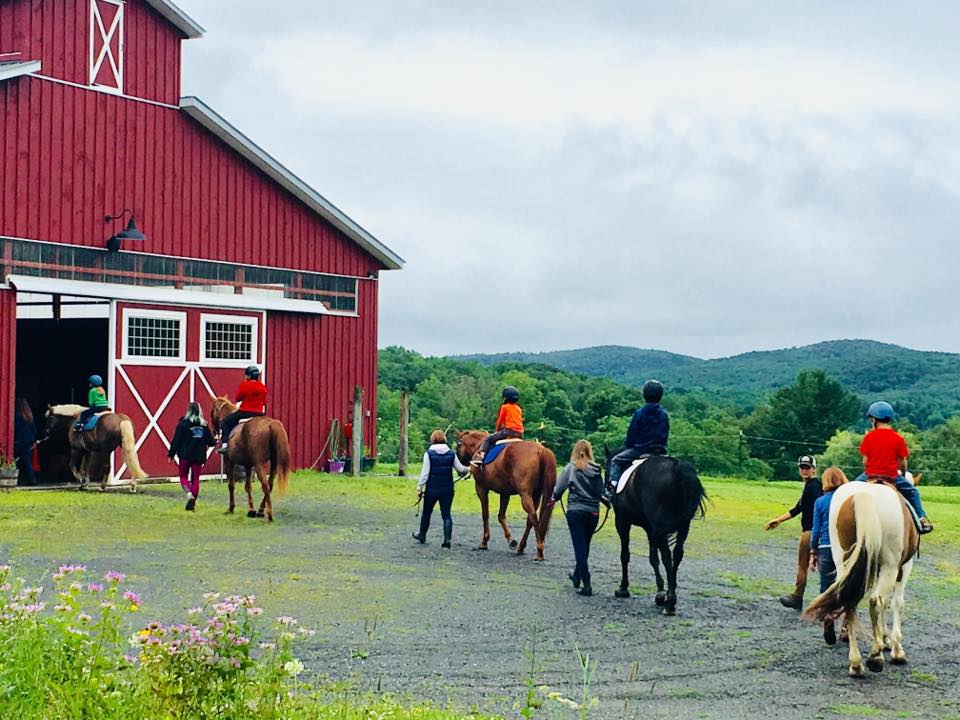 A row of several horses outside walking into a barn with riders