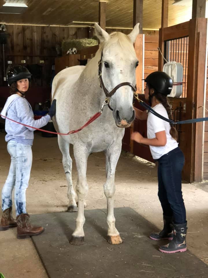 Two girls grooming a white horse in the barn at High & Mighty Therapeutic Riding and Driving Center