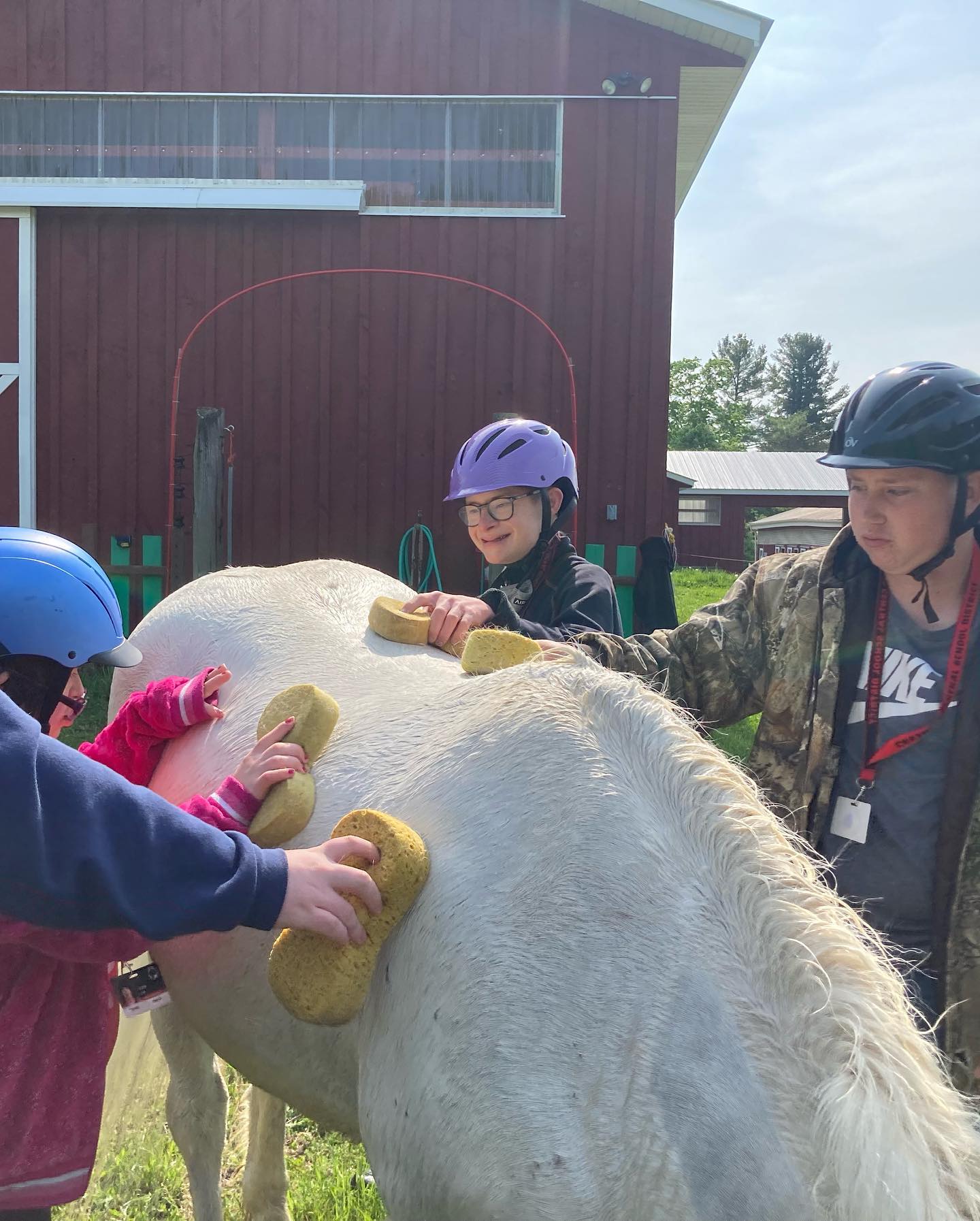 A close up of several kids putting sponges on the back of a white pony in front of a red barn