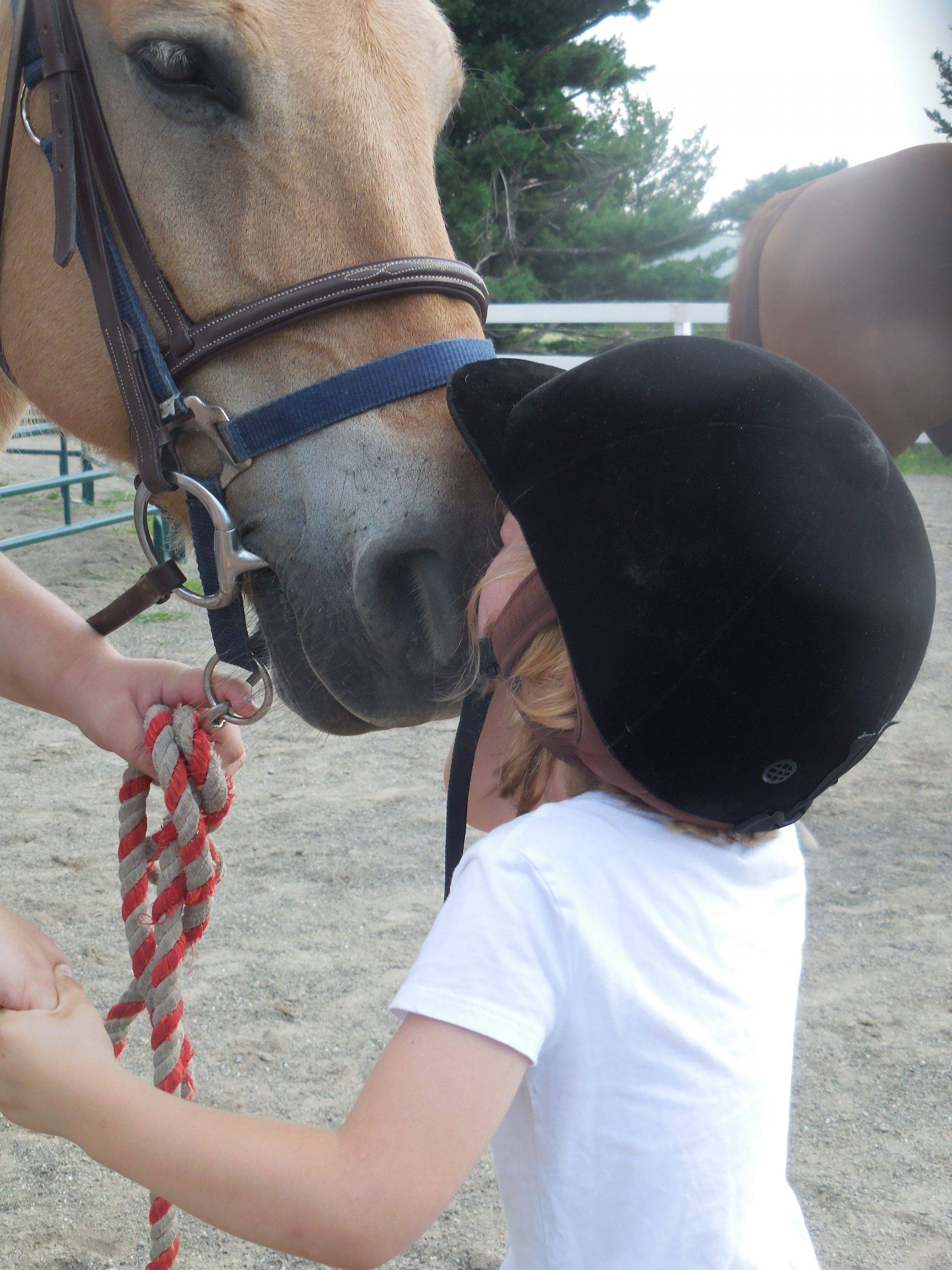 A close up of a young child with a black helmet on kissing the nose of a yellow horse with a bridle and red lead rope