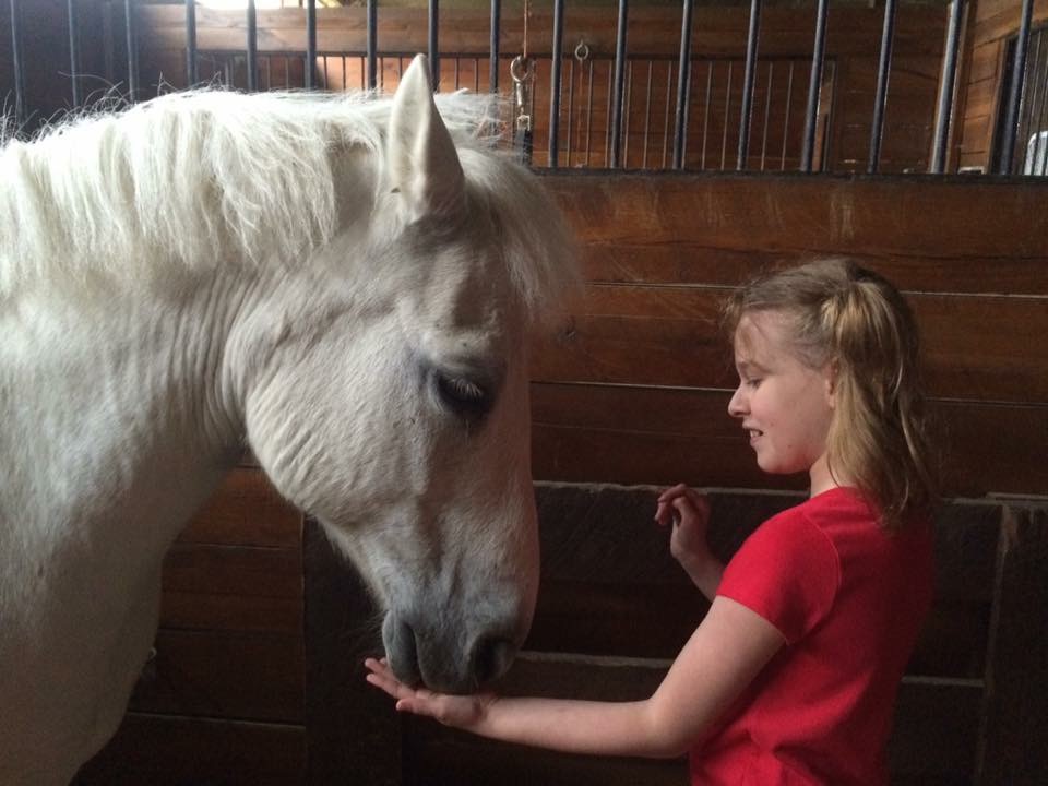 A close up picture of a girl in a red shirt with her hand on the muzzle of a white pony in the barn at High & Mighty
