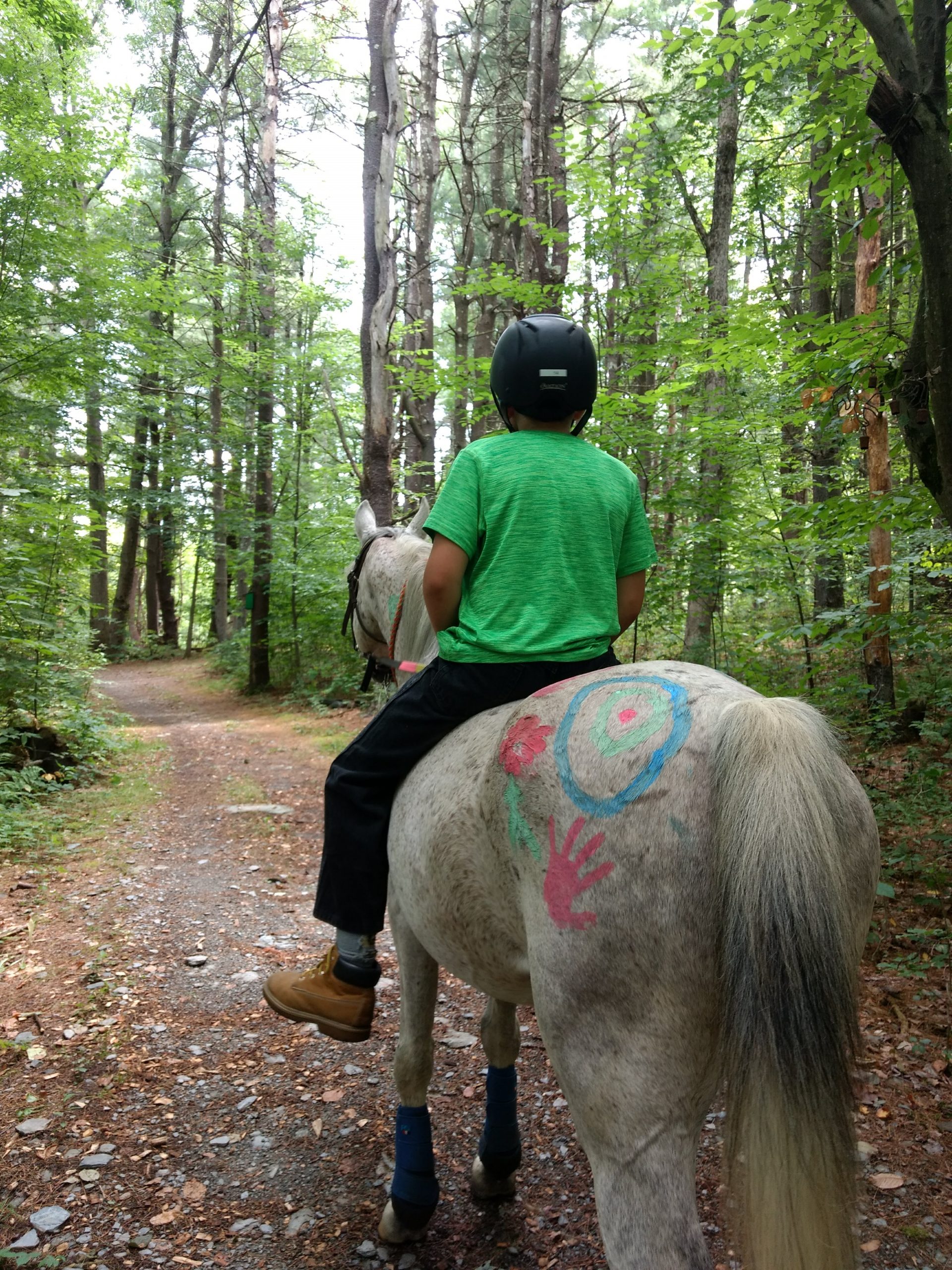 A kid wearing a green shirt riding a horse bareback with finger paint on it's back in the trail in the woods at High & Mighty