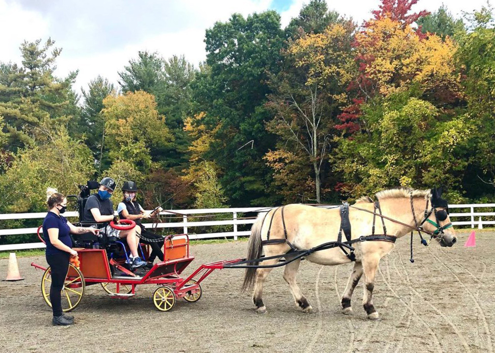 Two people in an adapted cart with a woman standing to the side driving a Fjord horse in a sand arena in High & Mighty's driving program